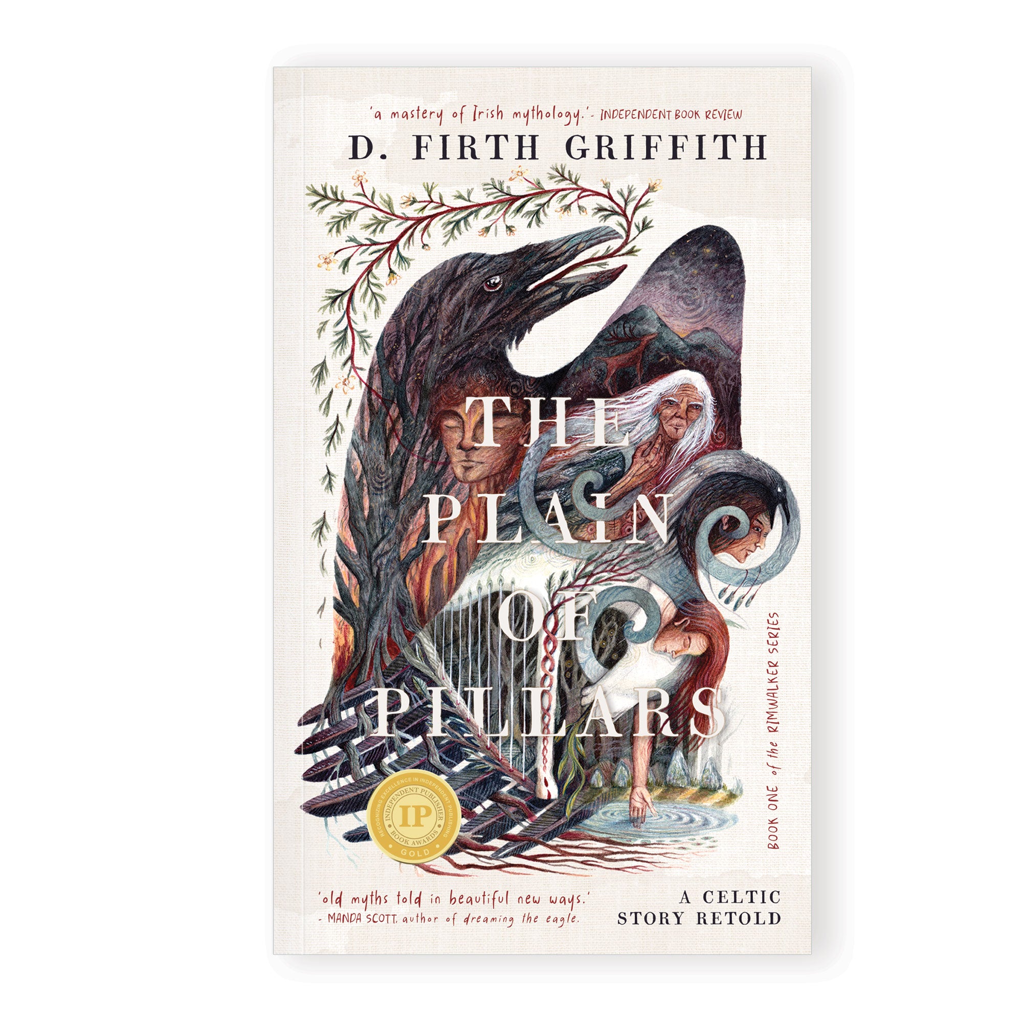 The Plain of Pillars: A Celtic Story Retold, A Novel (Hardcover)