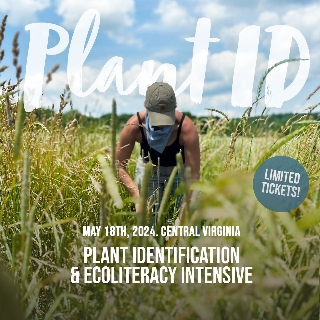 May, 2024 Plant Identification &amp; Ecoliteracy Course