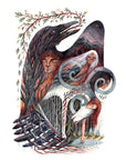 1: The Plain of Pillars: A Celtic Story Retold, A Novel
